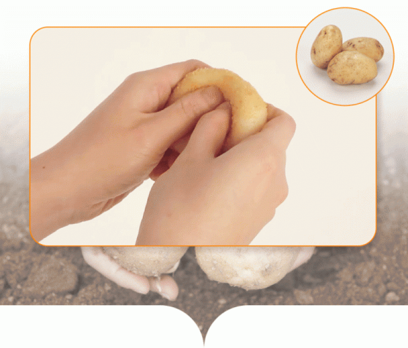 설소담,설소담 감자크림찰떡